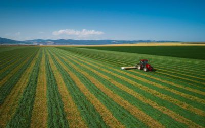 Investir dans les groupements agricoles ou viticoles