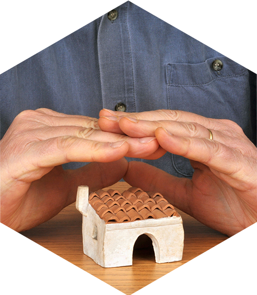 Organisation Patrimoine